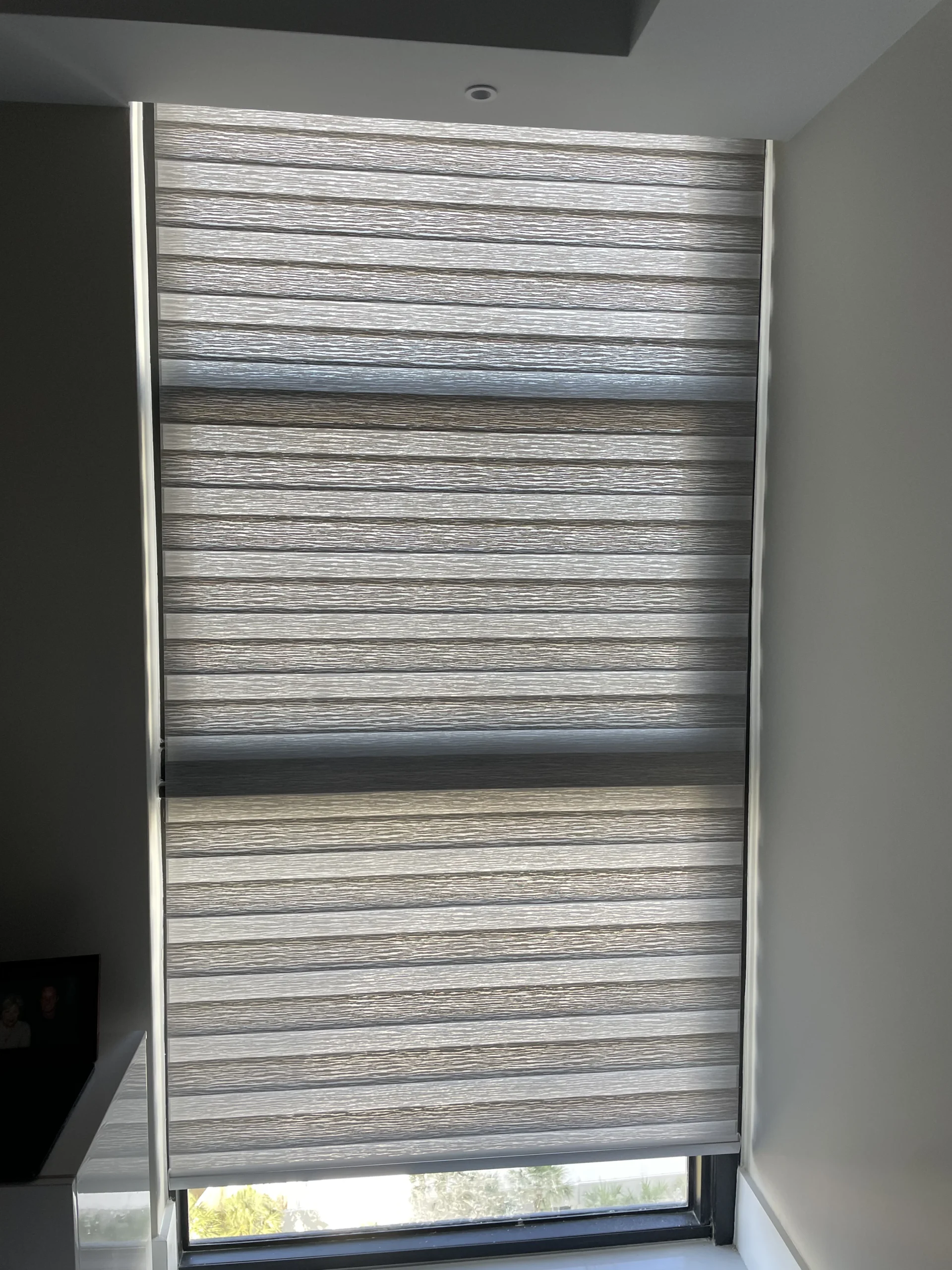 ZebraLightFiltering01