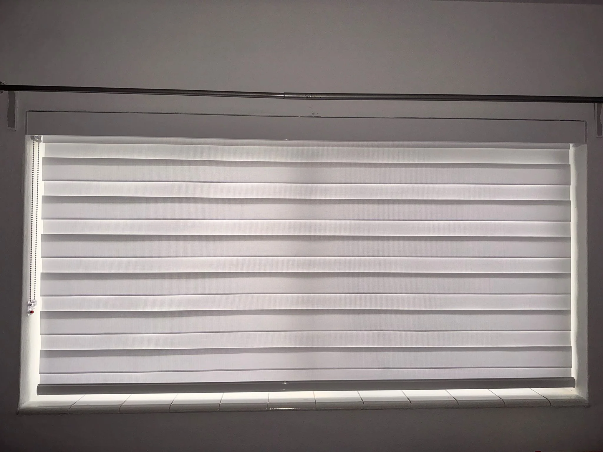 ZebraLightFiltering02