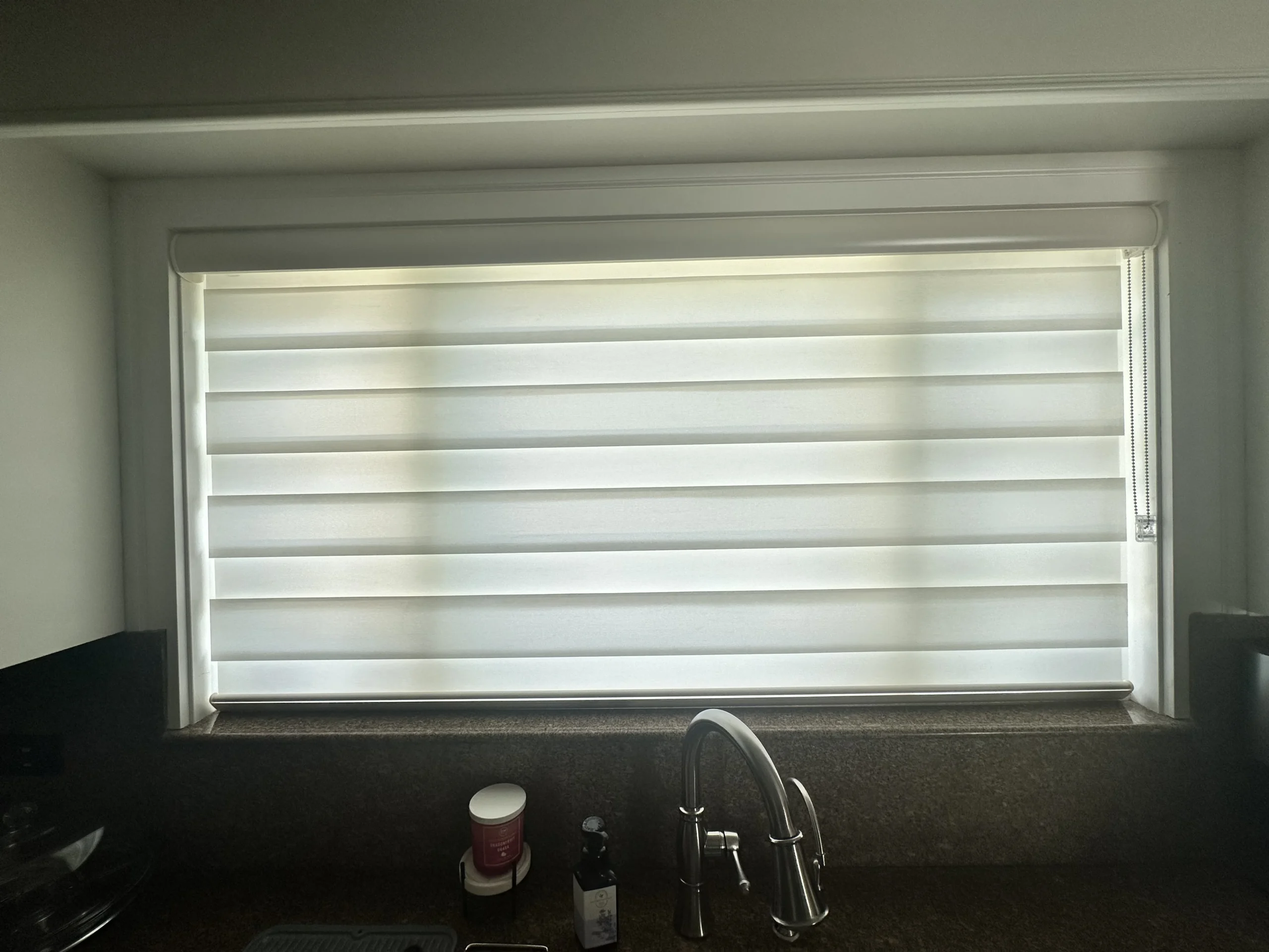 ZebraLightFiltering07