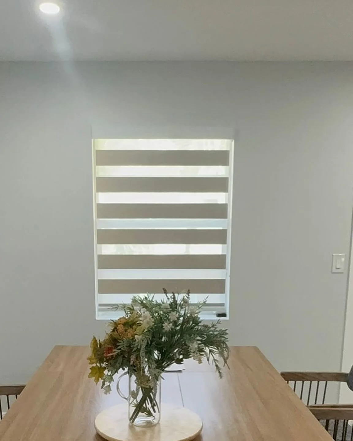 ZebraLightFiltering10